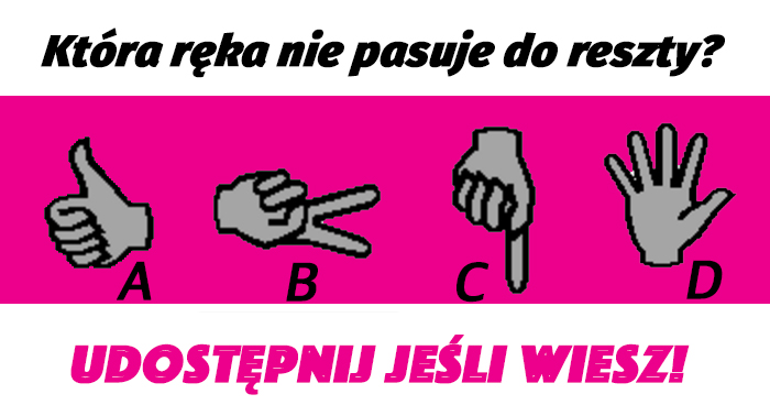 ktora-reka-nie-pasuje-do-calej-reszty-riddle